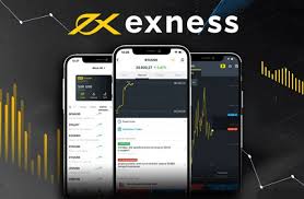 Comprehensive Guide to Exness Broker Insights and Features