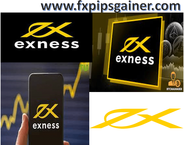Understanding the Regulated Exness Broker A Comprehensive Guide