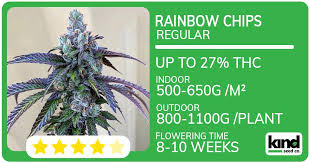 The Ultimate Guide to Sour Diesel Autoflower The Ultimate Guide to Sour Diesel Autoflower