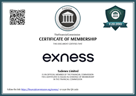 Everything You Need to Know About Exness Affiliate Login