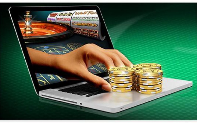 Explore Domusbet IT Your Gateway to Exciting Online Betting