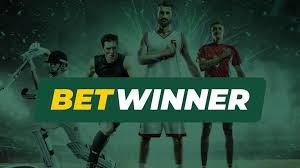 Exploring BetWinner Casino Your Ultimate Online Gaming Destination