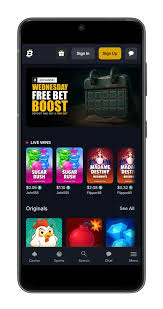 Bitfortune Live Dealer Games The Future of Mobile Gaming