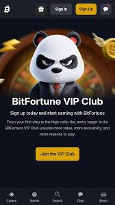 Understanding the Withdrawal Speed at Bitfortune Casino Canada