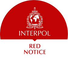 Expert Red Notice Removal Lawyers Safeguarding Your Rights 1344564895