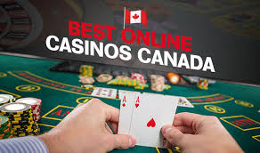 Best Live Casino Sites Discover Top Online Gaming Experiences