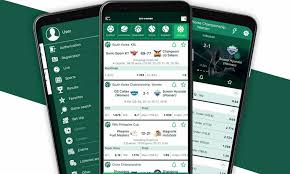 Download the BetWinner App for a Seamless Betting Experience -836329183