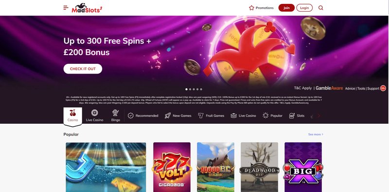 Découvrez les Meilleures Offres de Mad Casino en France pour 2024 - aperçu