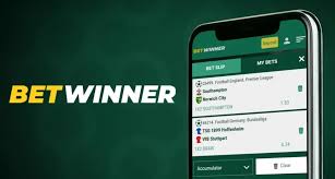 Unlocking Bonuses BetWinner Promo Code Details for Enhanced Betting Experience