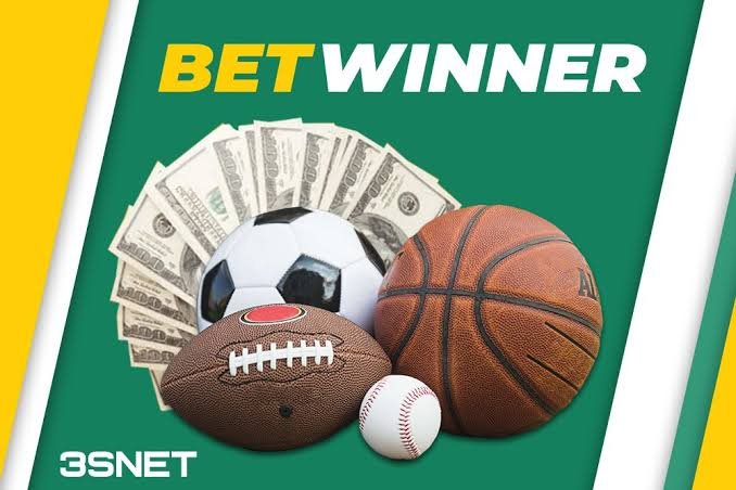 BetWinner Online Casino A Comprehensive Guide to Winning and Fun